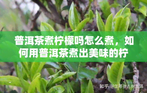 普洱茶煮柠檬吗怎么煮，如何用普洱茶煮出美味的柠檬水？