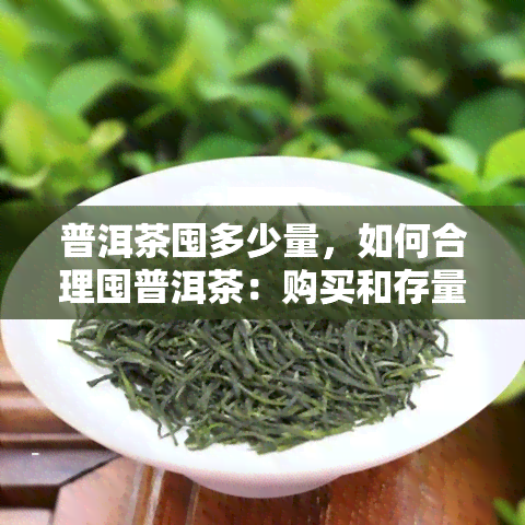 普洱茶囤多少量，如何合理囤普洱茶：购买和存量的建议