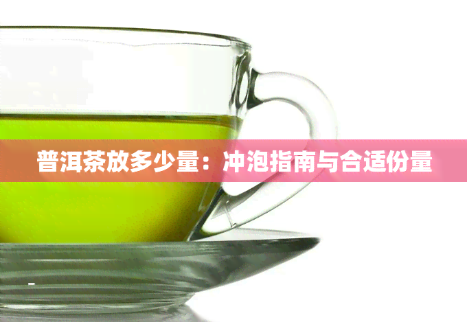 普洱茶放多少量：冲泡指南与合适份量