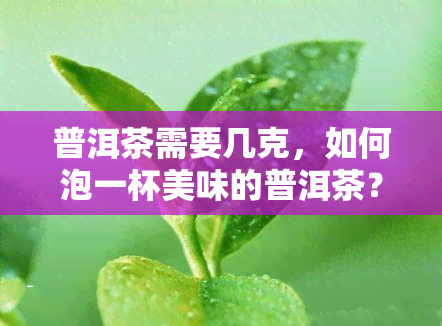 普洱茶需要几克，如何泡一杯美味的普洱茶？你需要知道这些关键的茶叶用量！