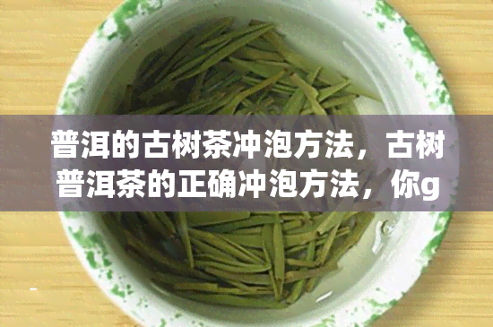 普洱的古树茶冲泡方法，古树普洱茶的正确冲泡方法，你get了吗？