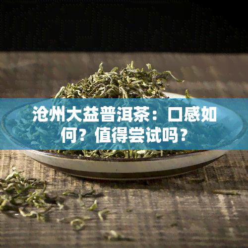 沧州大益普洱茶：口感如何？值得尝试吗？