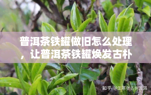 普洱茶铁罐做旧怎么处理，让普洱茶铁罐焕发古朴韵味：做旧处理技巧详解