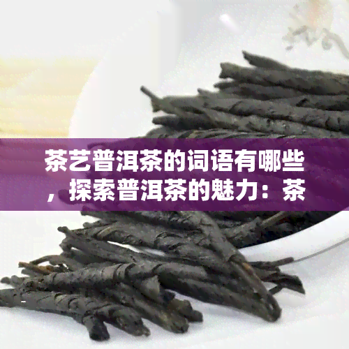 茶艺普洱茶的词语有哪些，探索普洱茶的魅力：茶艺中不可或缺的普洱茶相关词汇解析