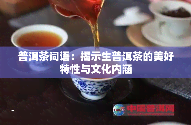 普洱茶词语：揭示生普洱茶的美好特性与文化内涵