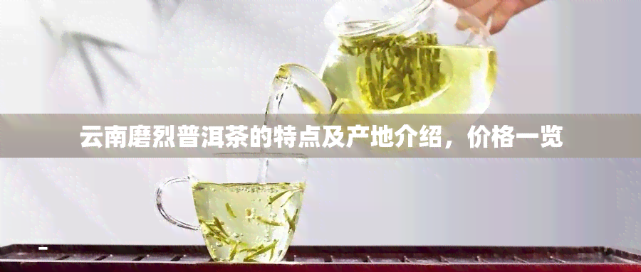 云南磨烈普洱茶的特点及产地介绍，价格一览