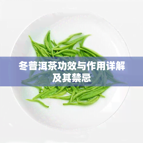 冬普洱茶功效与作用详解及其禁忌