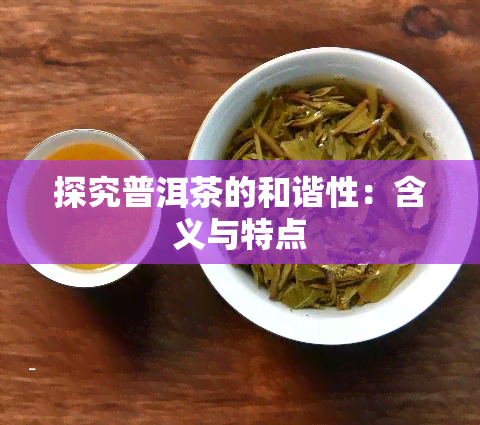 探究普洱茶的和谐性：含义与特点