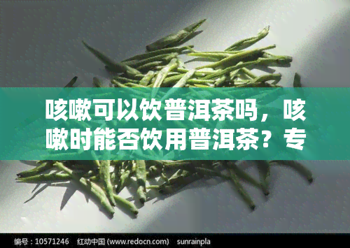 咳嗽可以饮普洱茶吗，咳嗽时能否饮用普洱茶？专家解读