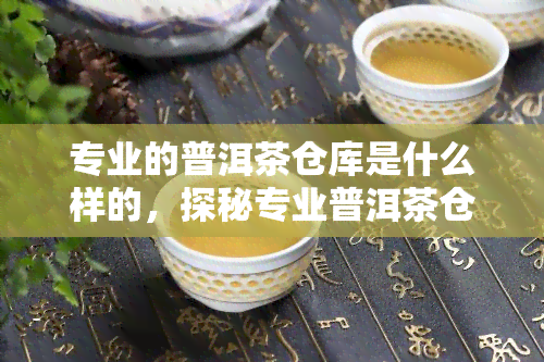 专业的普洱茶仓库是什么样的，探秘专业普洱茶仓库：内部环境与管理要求