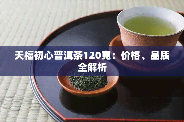 天福初心普洱茶120克：价格、品质全解析