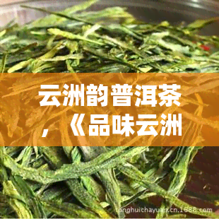 云洲韵普洱茶，《品味云洲韵：探索普洱茶的醇厚韵味》