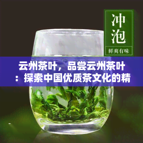 云州茶叶，品尝云州茶叶：探索中国优质茶文化的精髓