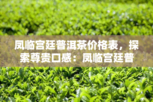 凤临宫廷普洱茶价格表，探索尊贵口感：凤临宫廷普洱茶价格全览