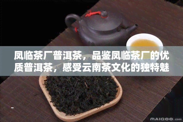 凤临茶厂普洱茶，品鉴凤临茶厂的优质普洱茶，感受云南茶文化的独特魅力！