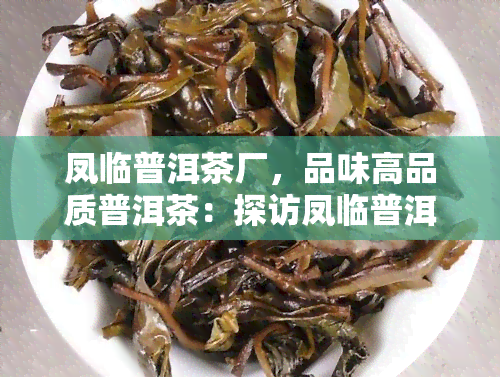 凤临普洱茶厂，品味高品质普洱茶：探访凤临普洱茶厂