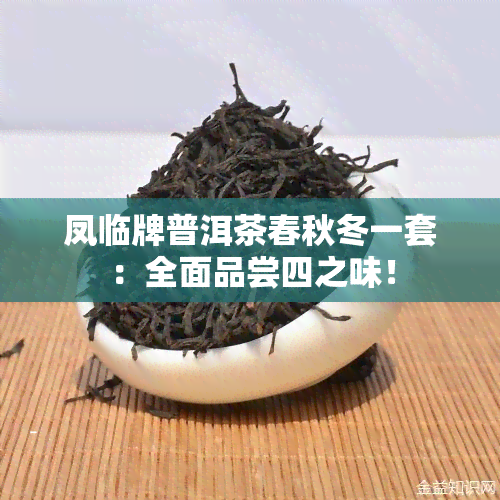 凤临牌普洱茶春秋冬一套：全面品尝四之味！