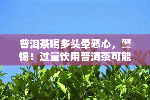 普洱茶喝多头晕恶心，警惕！过量饮用普洱茶可能导致头晕、恶心等不适症状