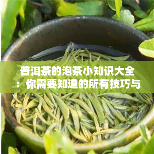 普洱茶的泡茶小知识大全：你需要知道的所有技巧与方法