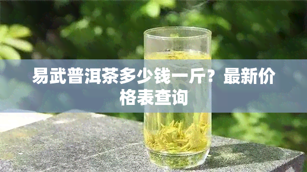 易武普洱茶多少钱一斤？最新价格表查询