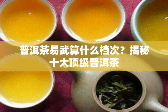 普洱茶易武算什么档次？揭秘十大顶级普洱茶