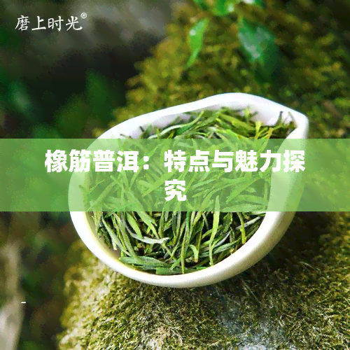 橡筋普洱：特点与魅力探究