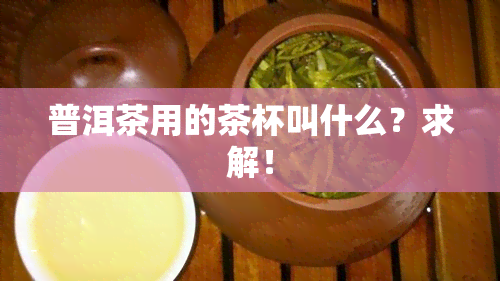 普洱茶用的茶杯叫什么？求解！