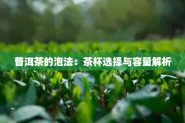 普洱茶的泡法：茶杯选择与容量解析