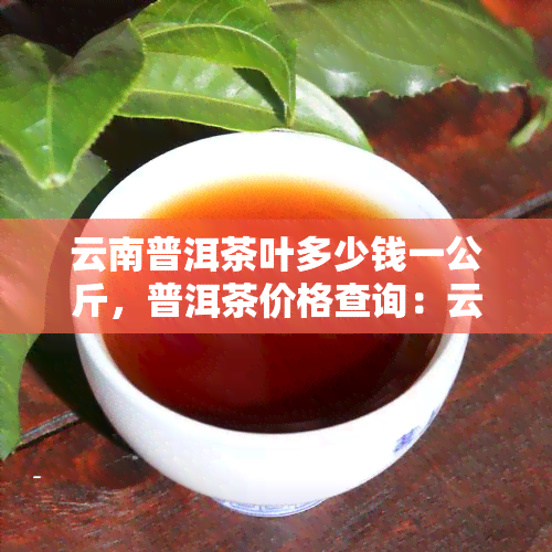 云南普洱茶叶多少钱一公斤，普洱茶价格查询：云南普洱茶叶的市场价格是多少？