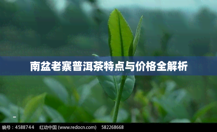 南盆老寨普洱茶特点与价格全解析