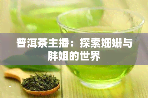 普洱茶主播：探索姗姗与胖姐的世界