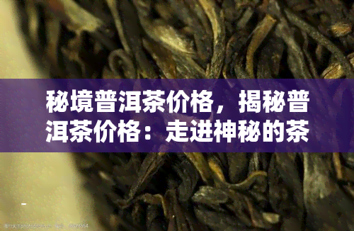 秘境普洱茶价格，揭秘普洱茶价格：走进神秘的茶叶世界