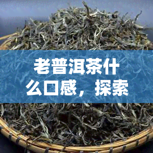 老普洱茶什么口感，探索老普洱茶的口感特点与魅力