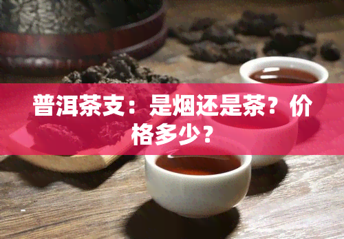 普洱茶支：是还是茶？价格多少？