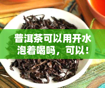 普洱茶可以用开水泡着喝吗，可以！普洱茶适合用开水冲泡饮用