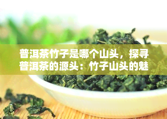 普洱茶竹子是哪个山头，探寻普洱茶的源头：竹子山头的魅力与特色