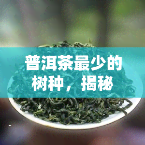 普洱茶最少的树种，揭秘普洱茶：最少的树种是什么？