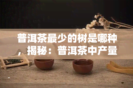 普洱茶最少的树是哪种，揭秘：普洱茶中产量最少的树种是什么？