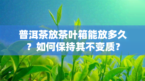 普洱茶放茶叶箱能放多久？如何保持其不变质？