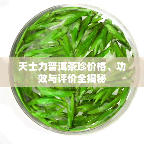 天士力普洱茶珍价格、功效与评价全揭秘