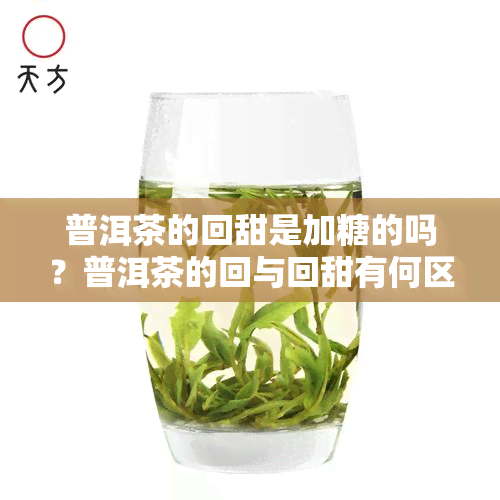 普洱茶的回甜是加糖的吗？普洱茶的回与回甜有何区别，哪种好？