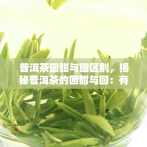 普洱茶回甜与回区别，揭秘普洱茶的回甜与回：有何区别？