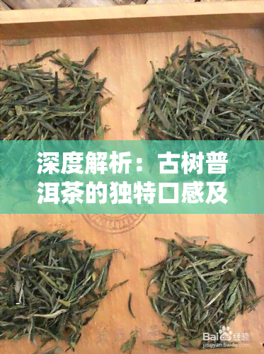 深度解析：古树普洱茶的独特口感及其特点