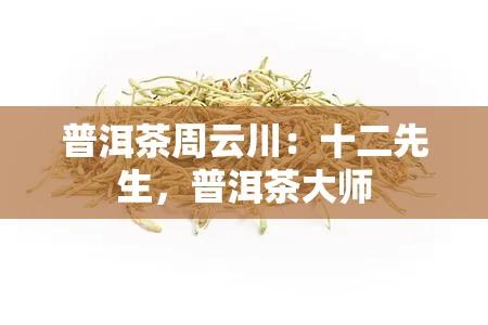 普洱茶周云川：十二先生，普洱茶大师