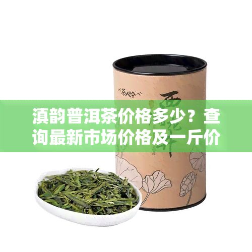 滇韵普洱茶价格多少？查询最新市场价格及一斤价