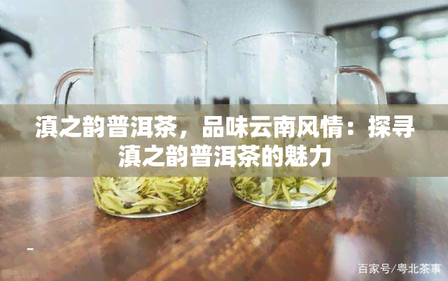 滇之韵普洱茶，品味云南风情：探寻滇之韵普洱茶的魅力