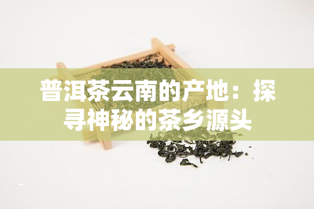 普洱茶云南的产地：探寻神秘的茶乡源头