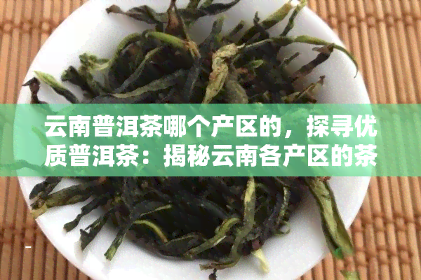 云南普洱茶哪个产区的，探寻优质普洱茶：揭秘云南各产区的茶叶