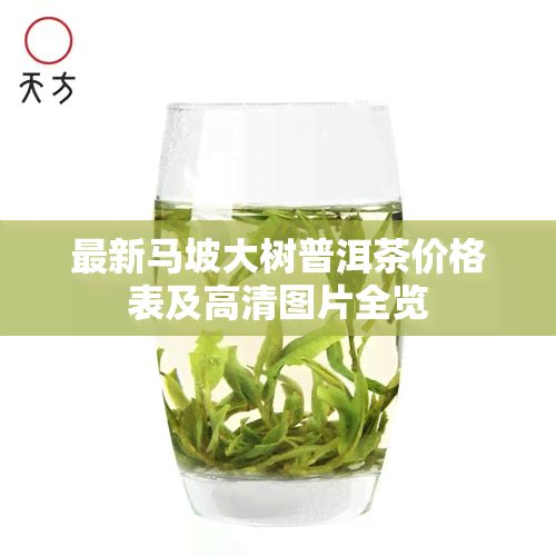 最新马坡大树普洱茶价格表及高清图片全览