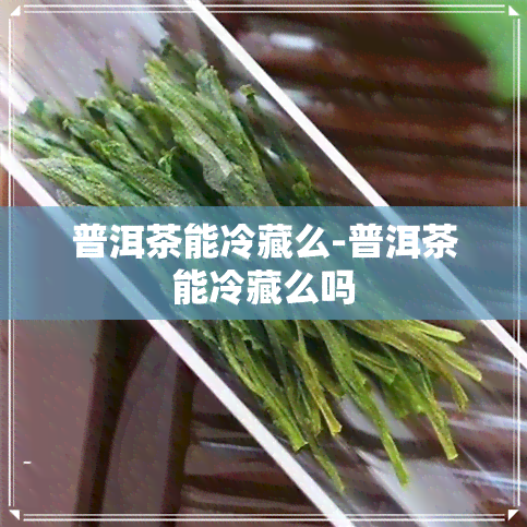 普洱茶能冷藏么-普洱茶能冷藏么吗